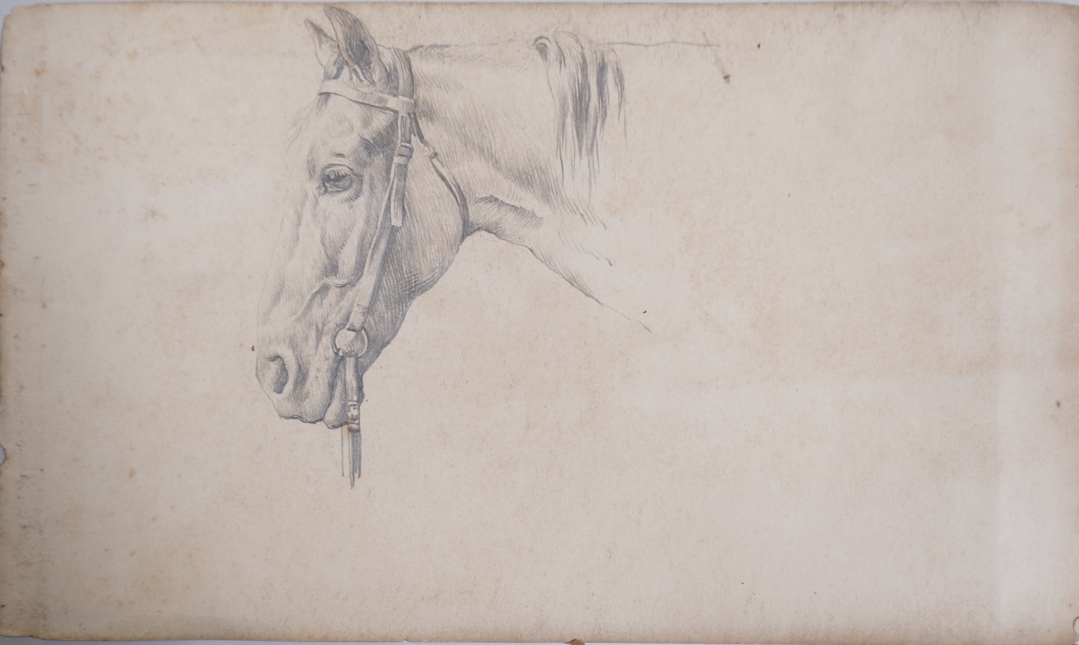 Herbert Thomas Dicksee, (1862-1942), Study of a horses head